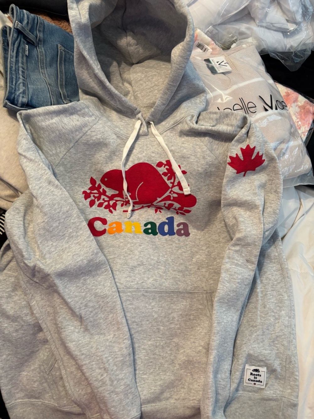 Roots Gray Canada Hoodie with Red Beaver & Rainbow Text